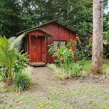 Citronela Lodge Corcovado Drakes Bay Exteriör bild