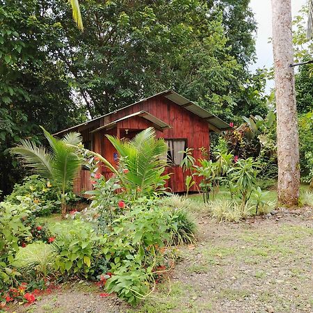 Citronela Lodge Corcovado Drakes Bay Exteriör bild