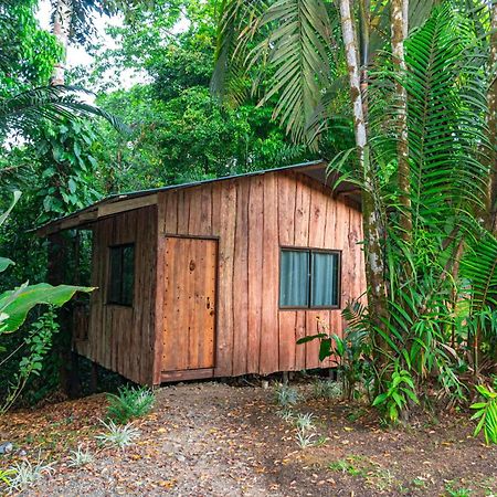 Citronela Lodge Corcovado Drakes Bay Exteriör bild