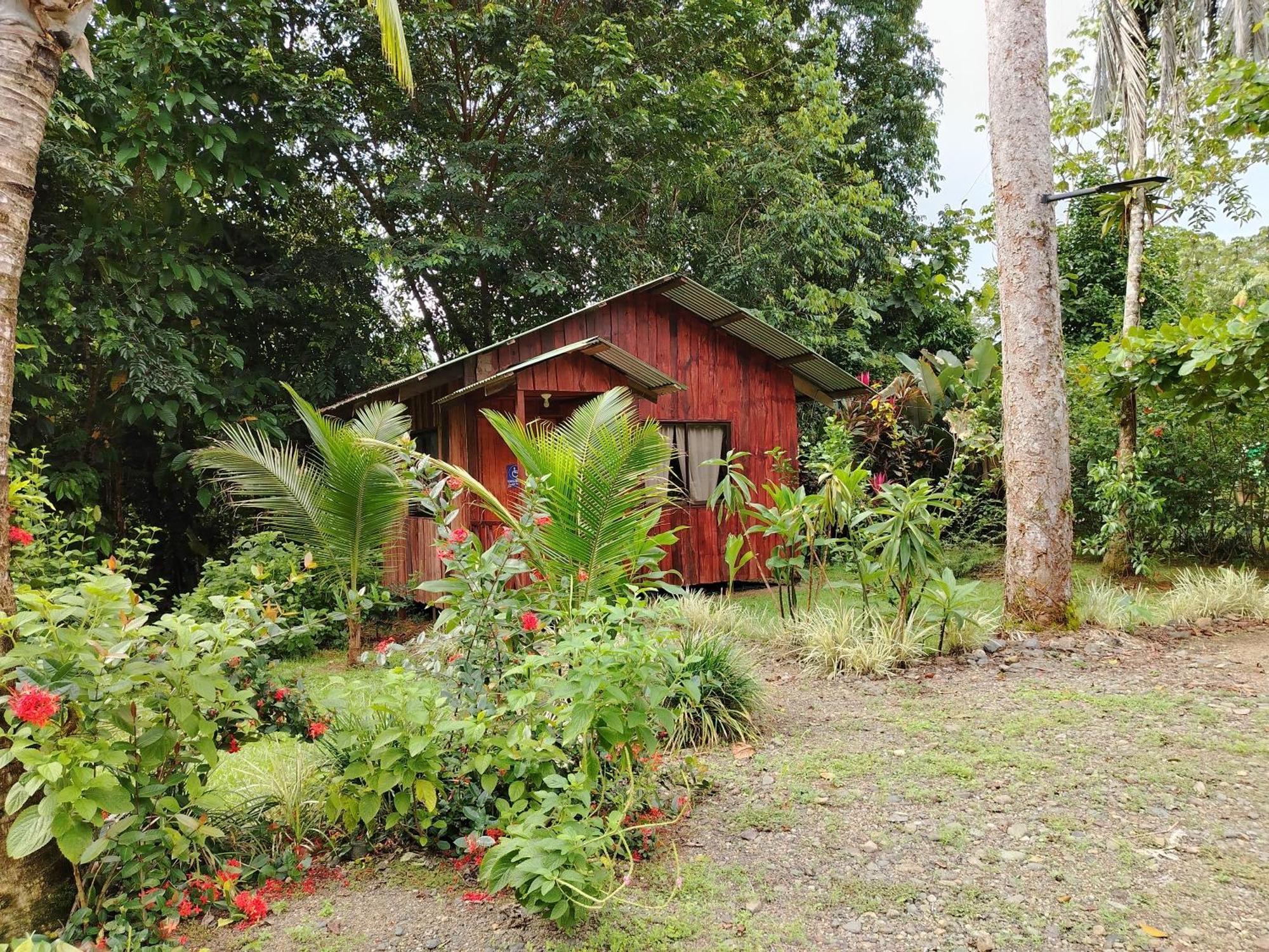 Citronela Lodge Corcovado Drakes Bay Exteriör bild