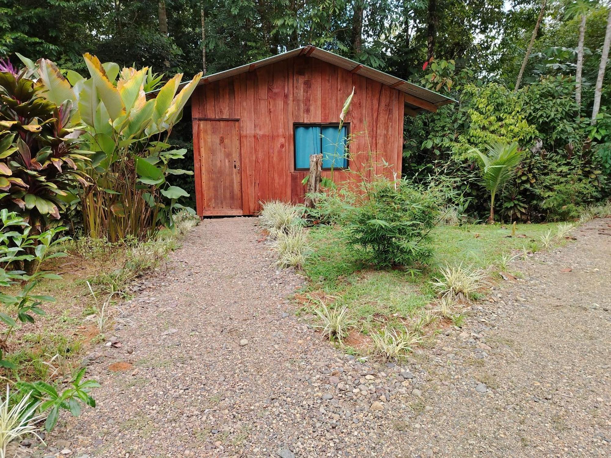 Citronela Lodge Corcovado Drakes Bay Exteriör bild