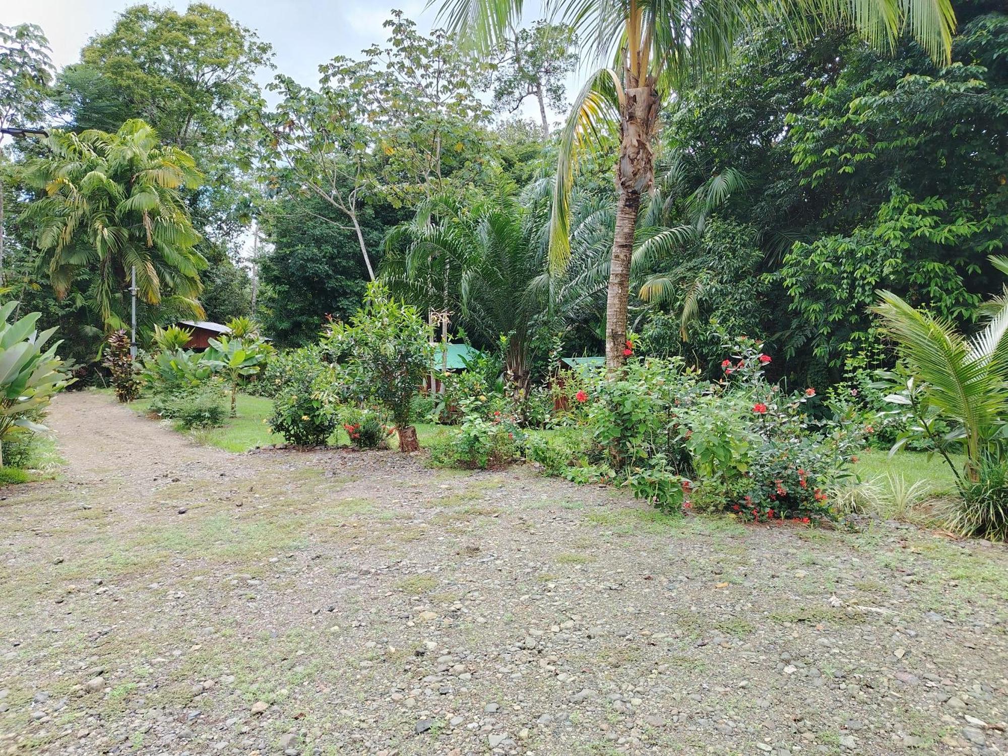 Citronela Lodge Corcovado Drakes Bay Exteriör bild