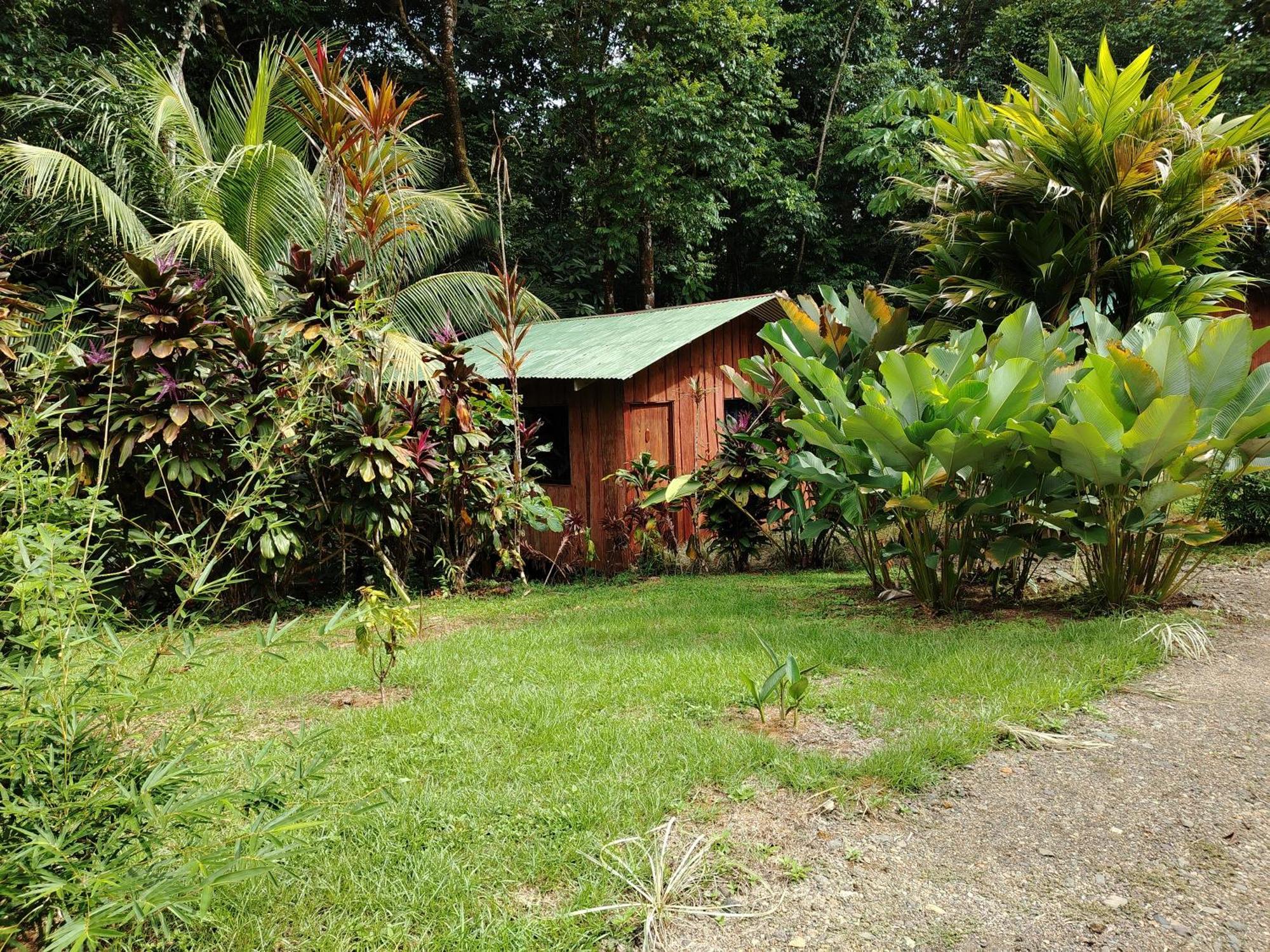 Citronela Lodge Corcovado Drakes Bay Exteriör bild