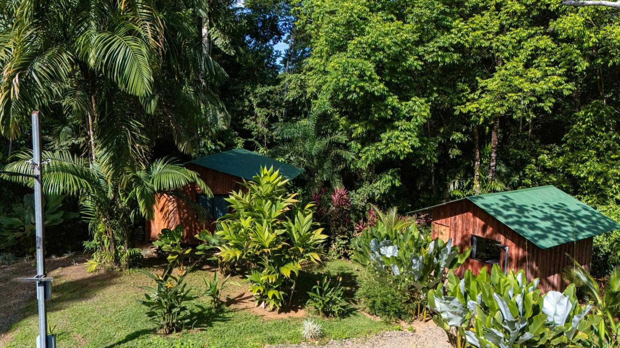 Citronela Lodge Corcovado Drakes Bay Exteriör bild