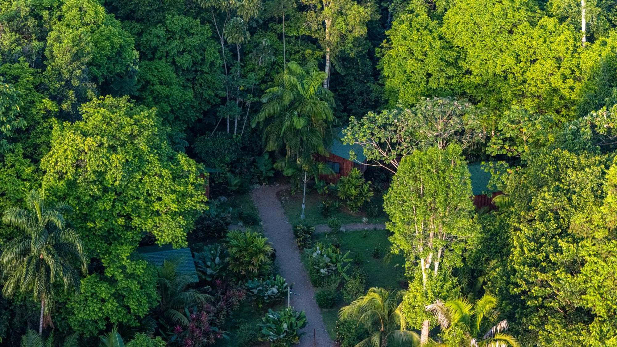 Citronela Lodge Corcovado Drakes Bay Exteriör bild