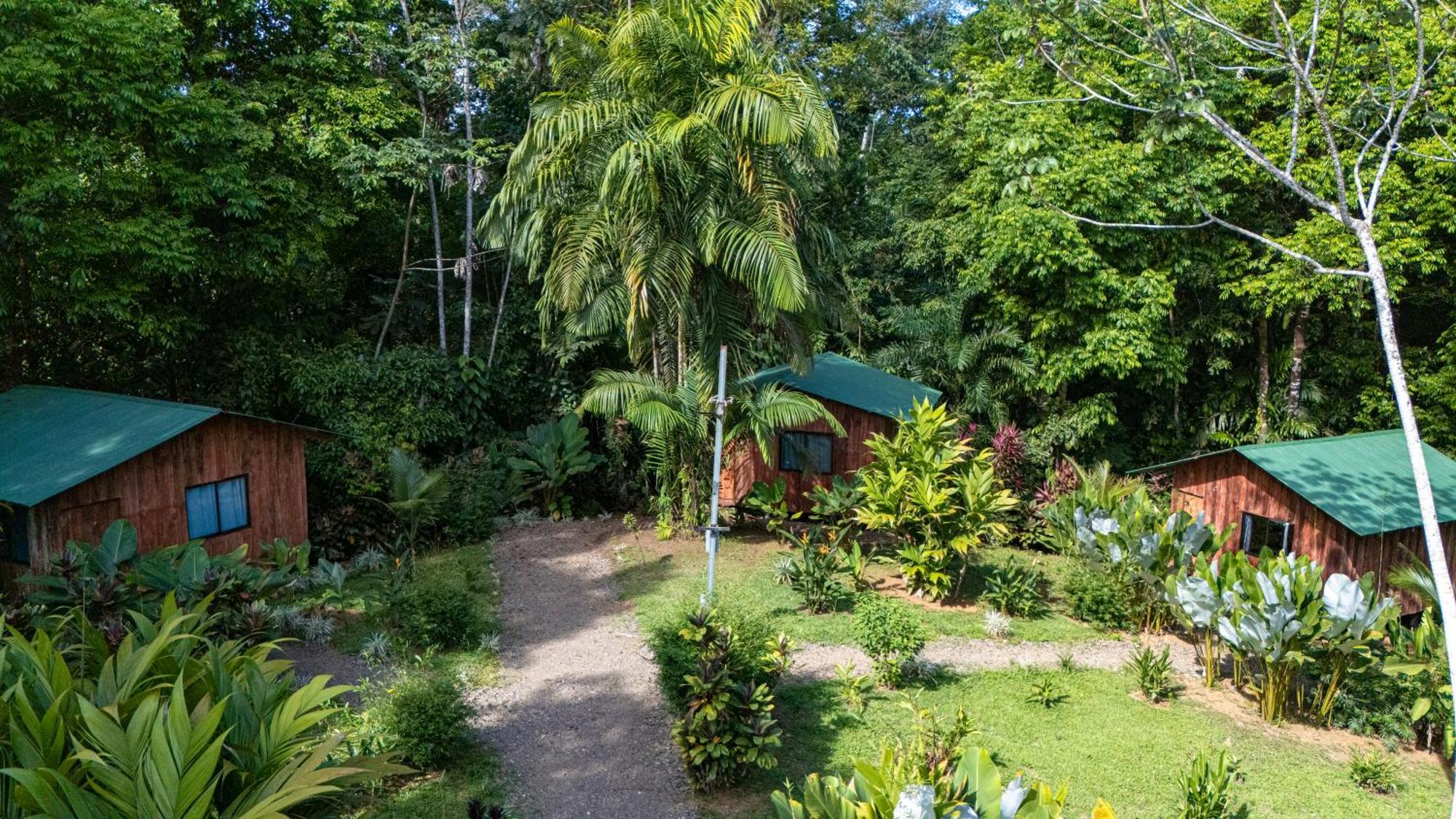 Citronela Lodge Corcovado Drakes Bay Exteriör bild