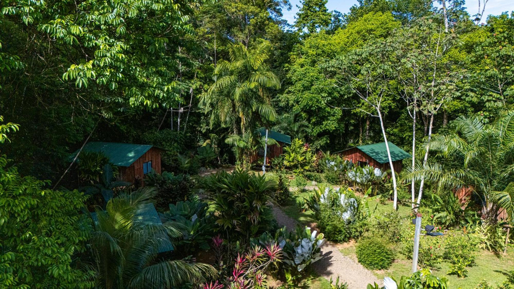 Citronela Lodge Corcovado Drakes Bay Exteriör bild