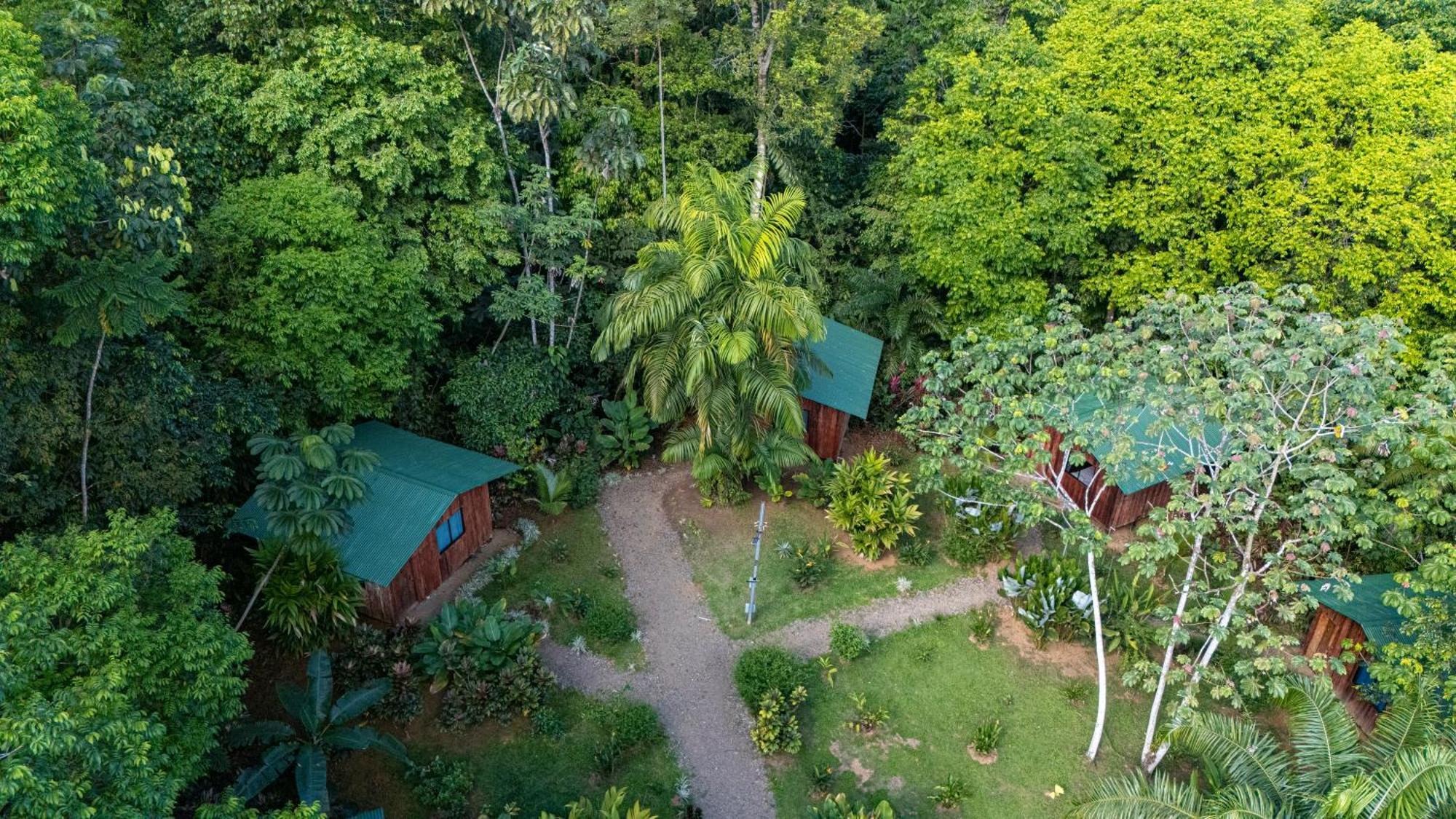 Citronela Lodge Corcovado Drakes Bay Exteriör bild