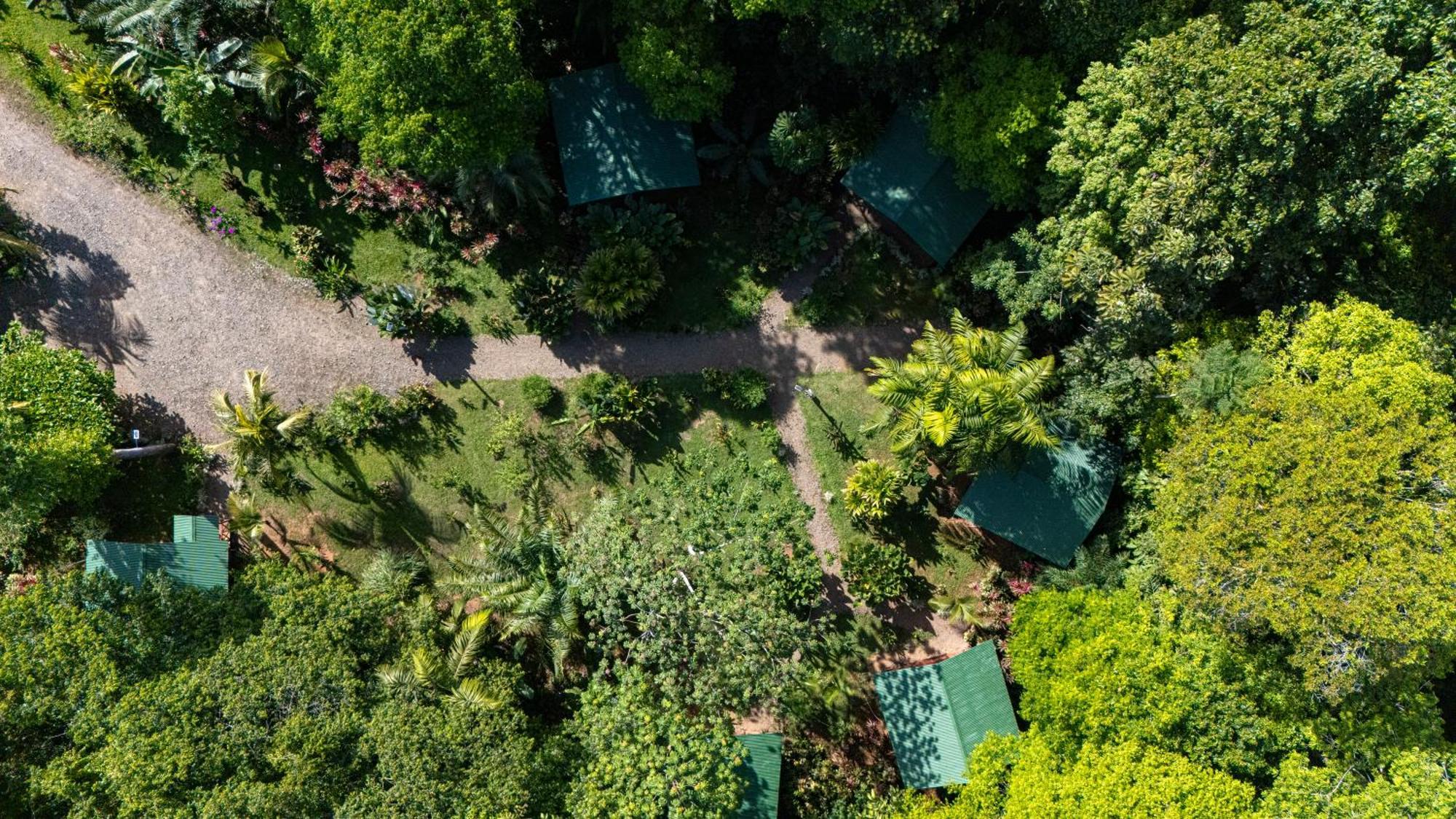Citronela Lodge Corcovado Drakes Bay Exteriör bild