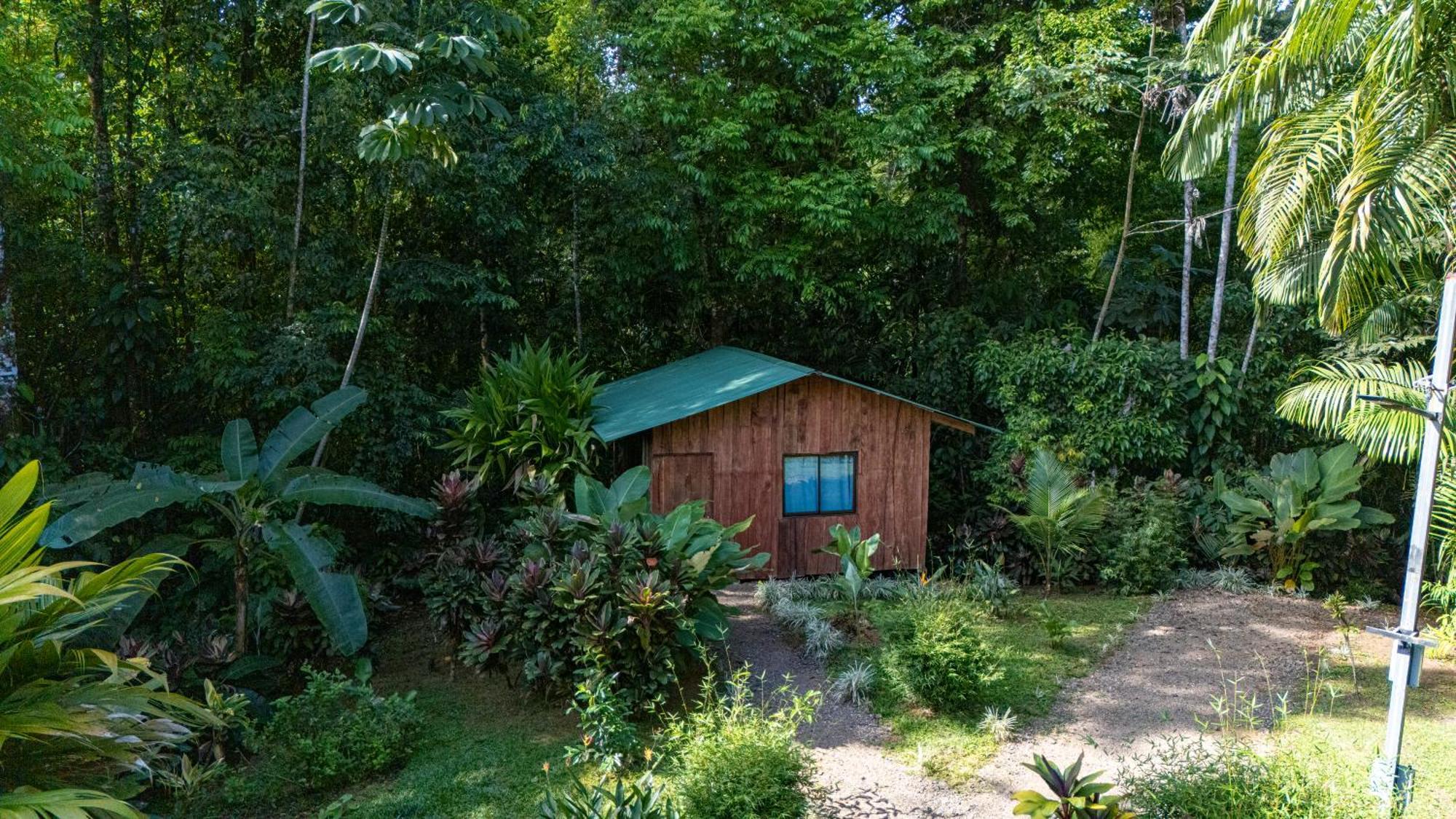 Citronela Lodge Corcovado Drakes Bay Exteriör bild