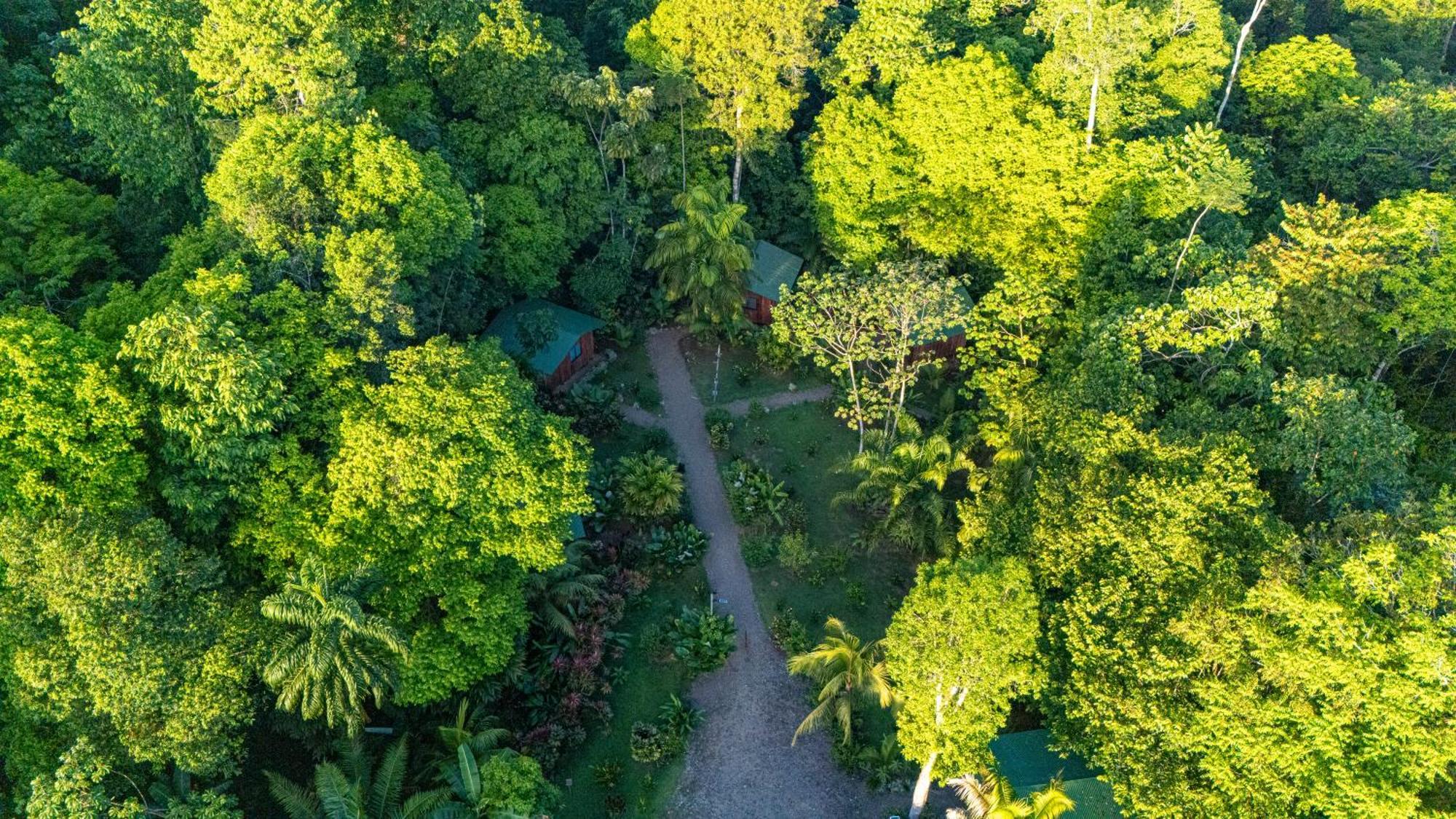 Citronela Lodge Corcovado Drakes Bay Exteriör bild