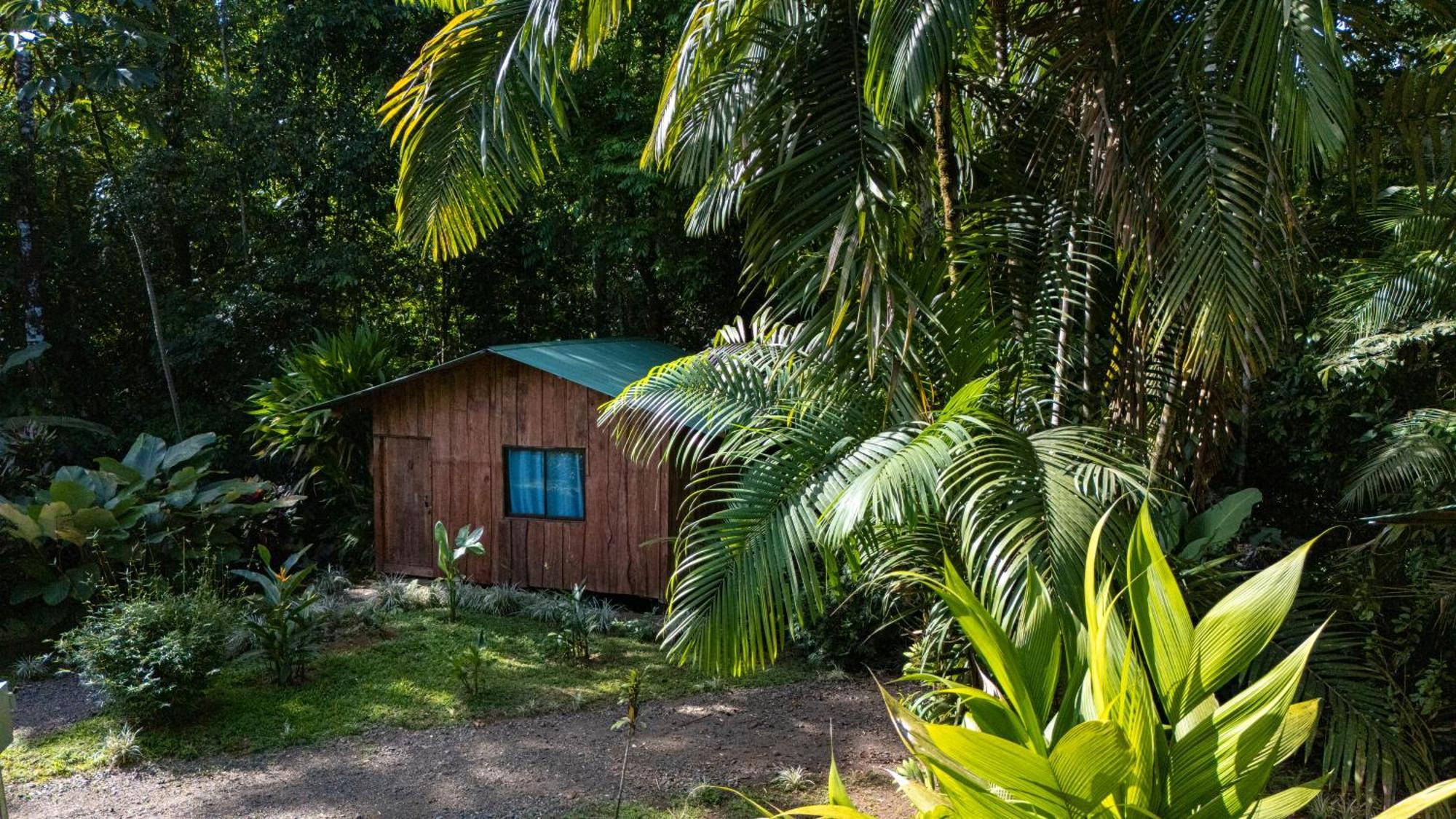 Citronela Lodge Corcovado Drakes Bay Exteriör bild