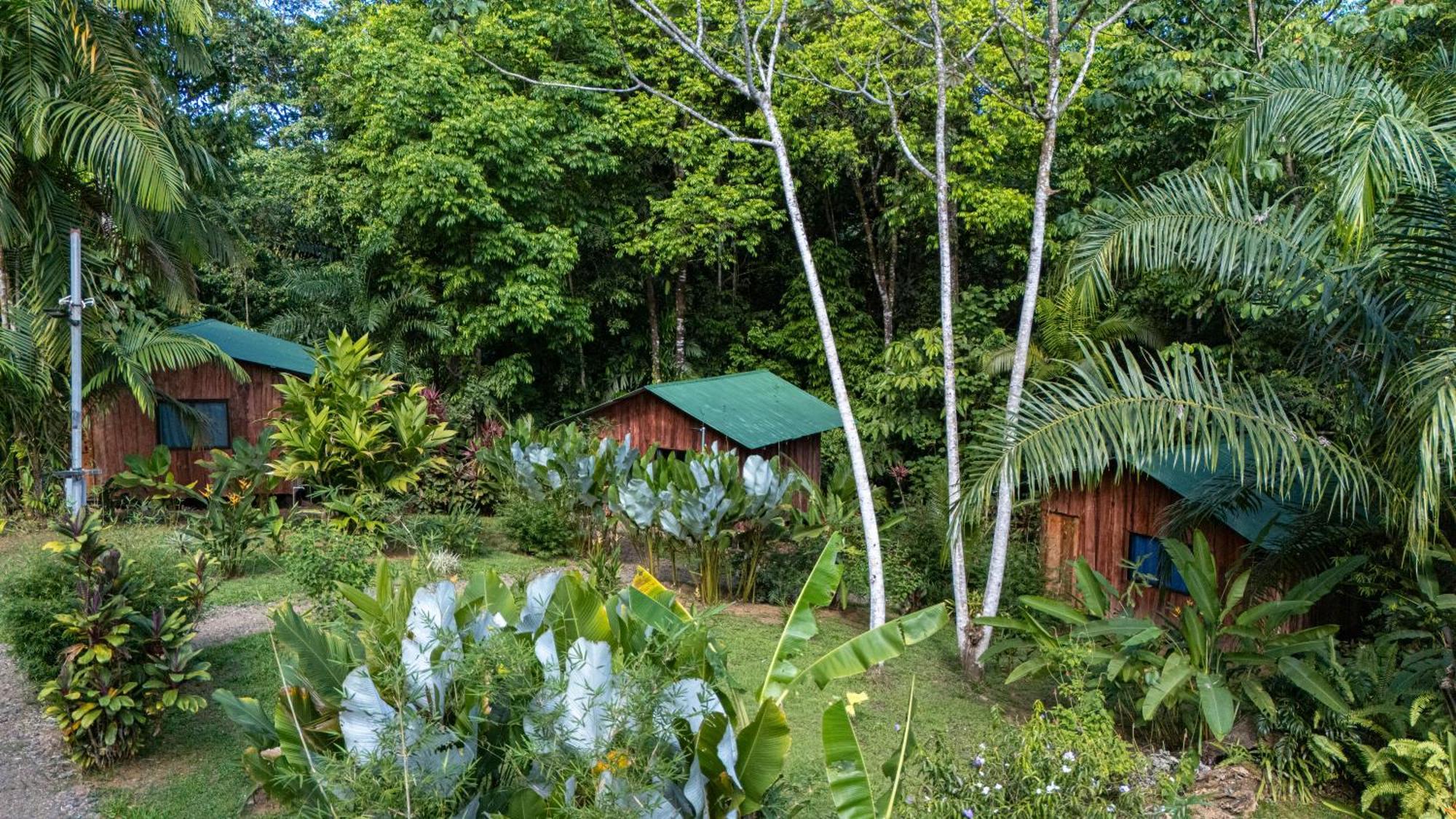 Citronela Lodge Corcovado Drakes Bay Exteriör bild