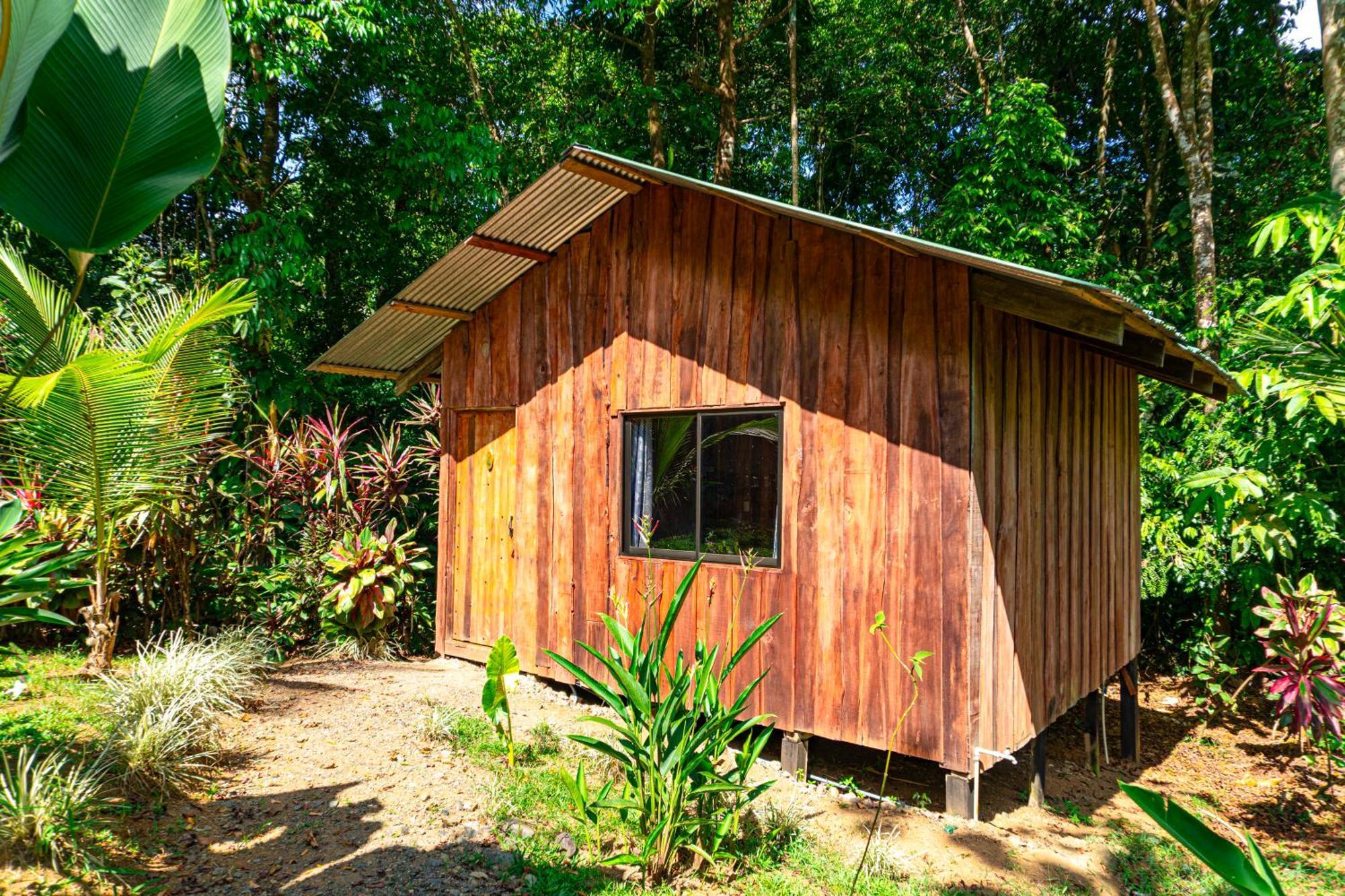 Citronela Lodge Corcovado Drakes Bay Exteriör bild