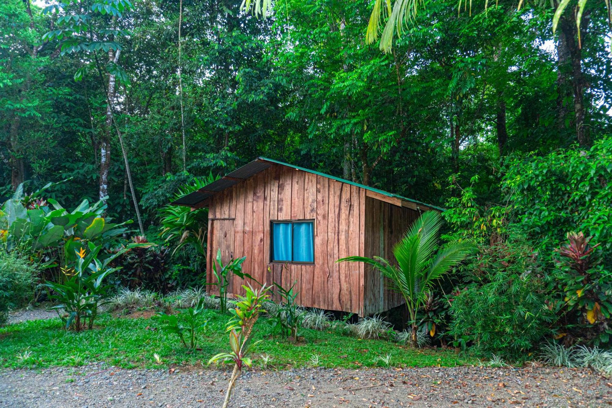 Citronela Lodge Corcovado Drakes Bay Exteriör bild