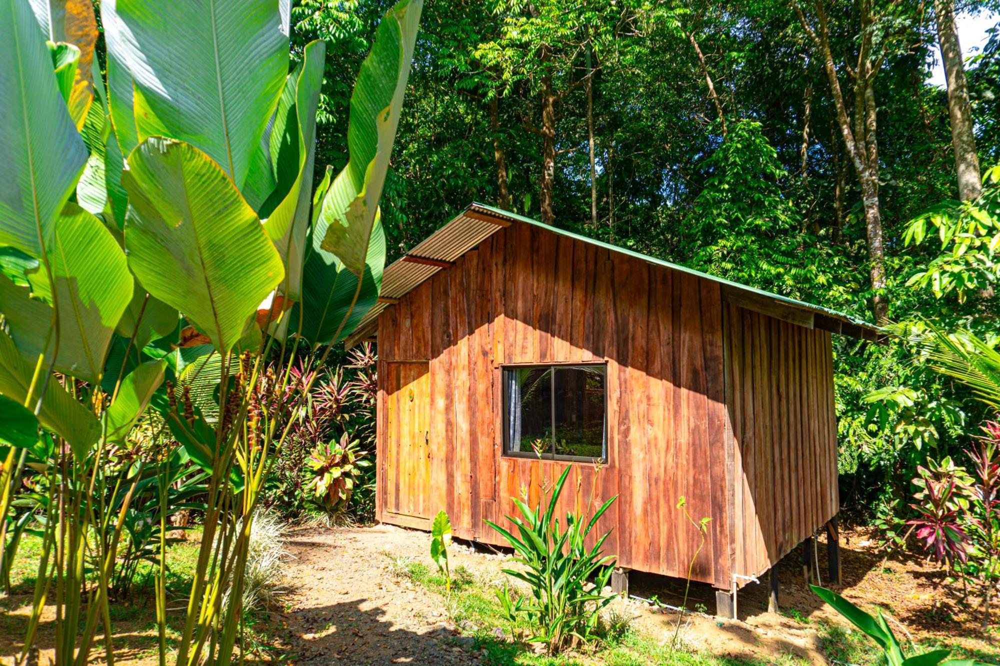 Citronela Lodge Corcovado Drakes Bay Exteriör bild