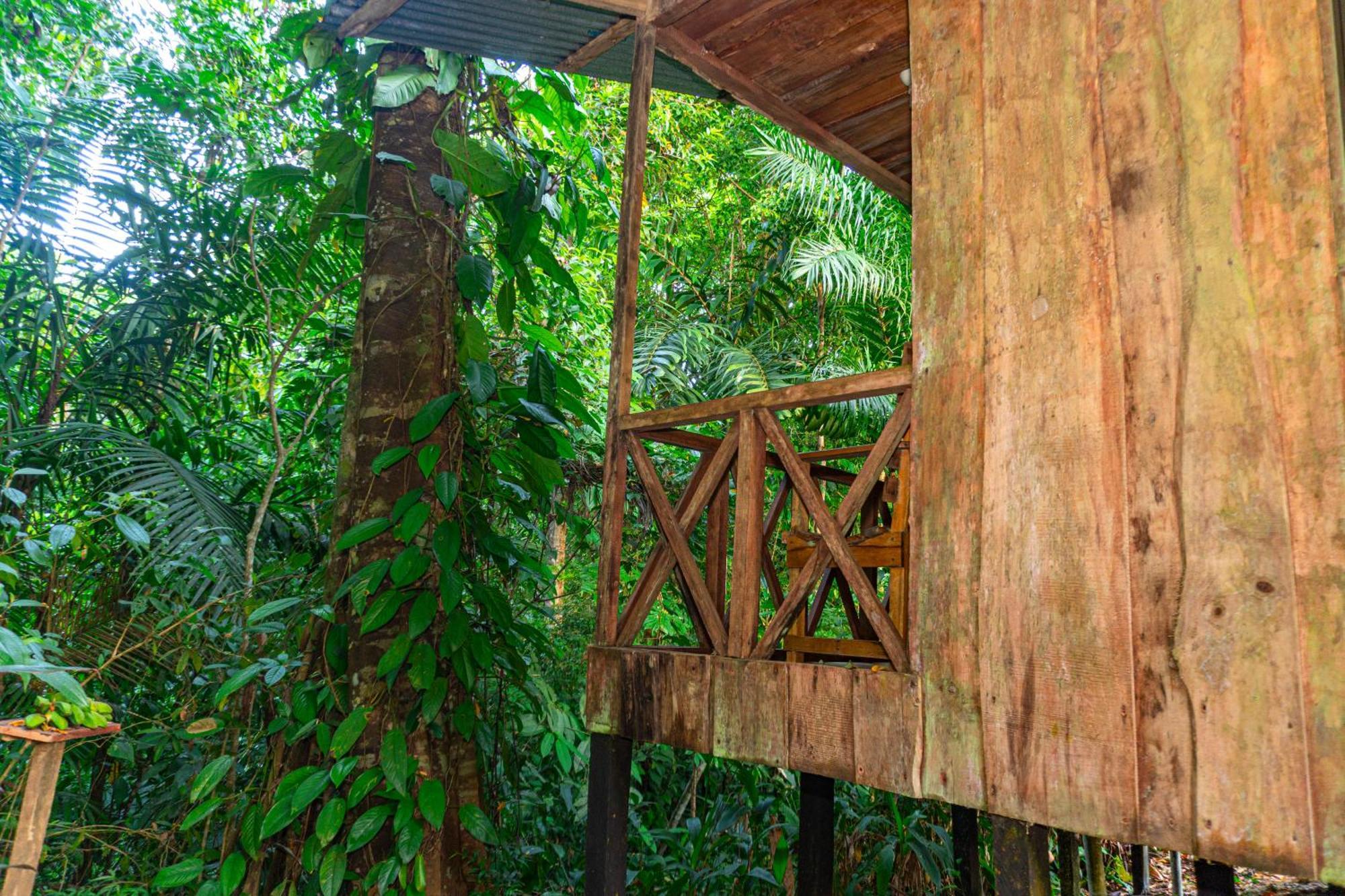Citronela Lodge Corcovado Drakes Bay Exteriör bild