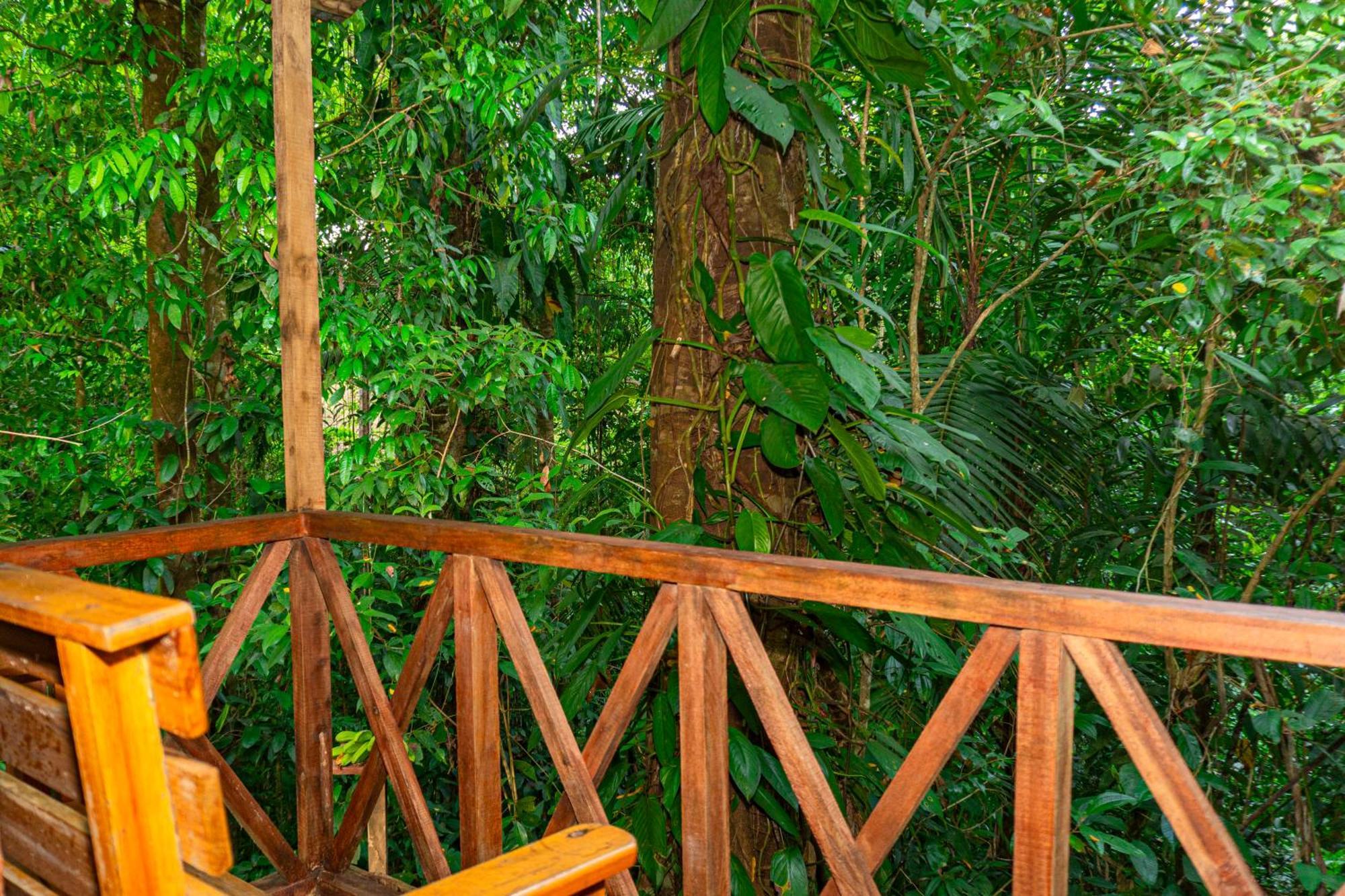 Citronela Lodge Corcovado Drakes Bay Exteriör bild