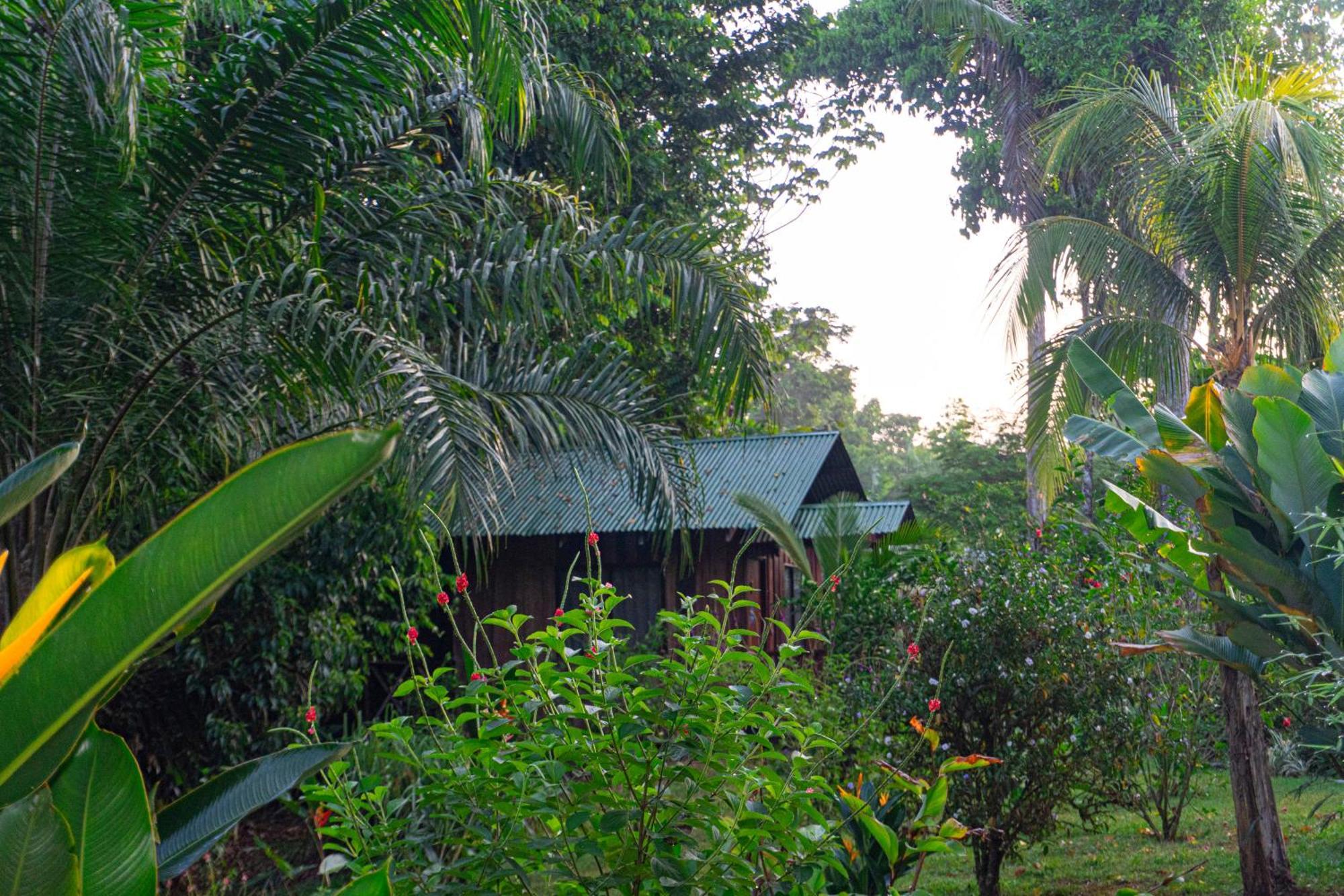 Citronela Lodge Corcovado Drakes Bay Exteriör bild