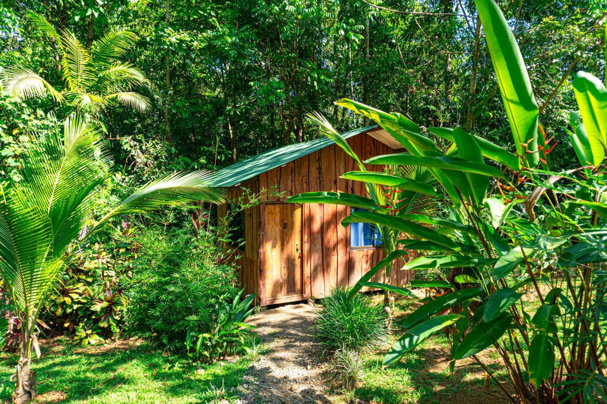 Citronela Lodge Corcovado Drakes Bay Exteriör bild