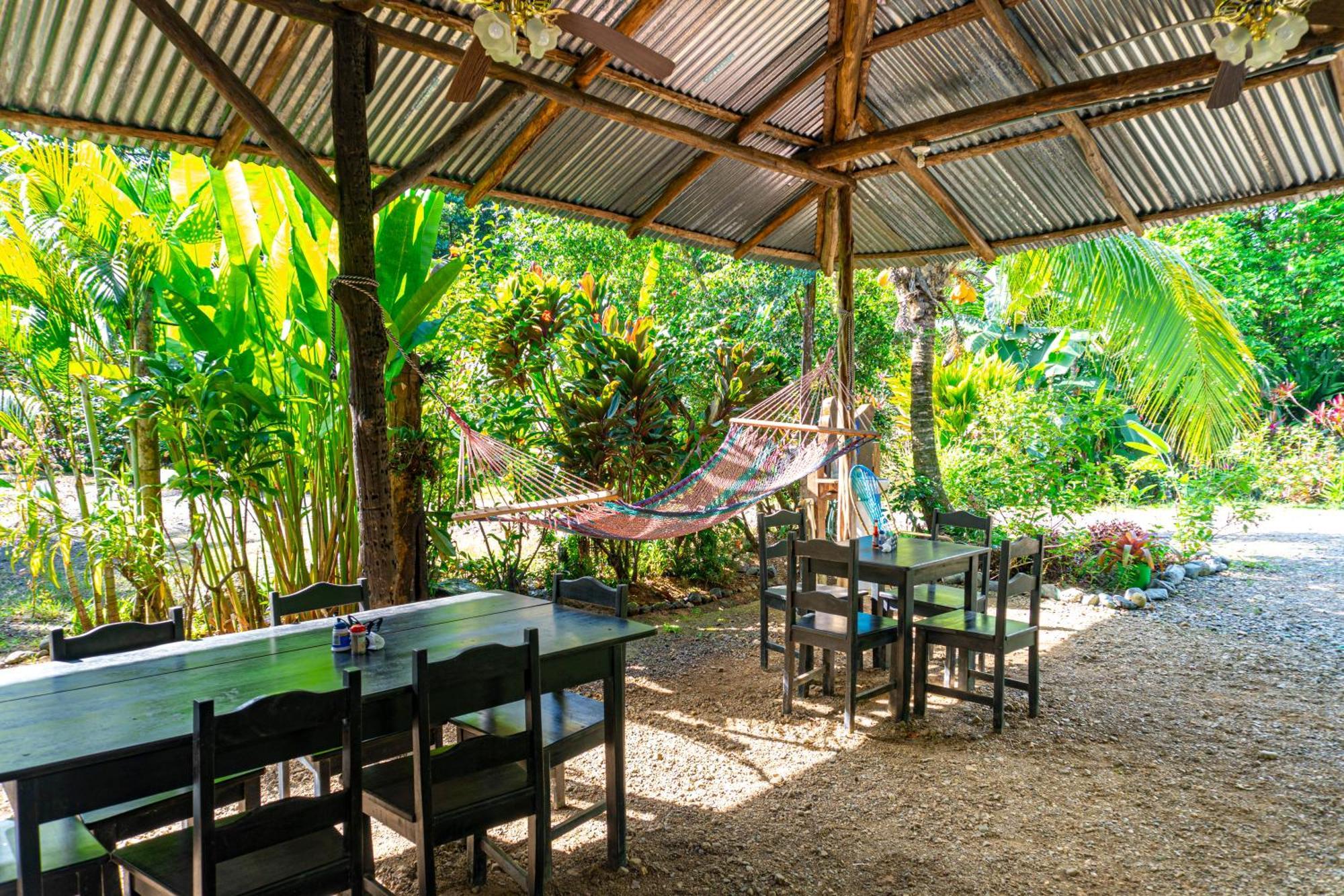 Citronela Lodge Corcovado Drakes Bay Exteriör bild