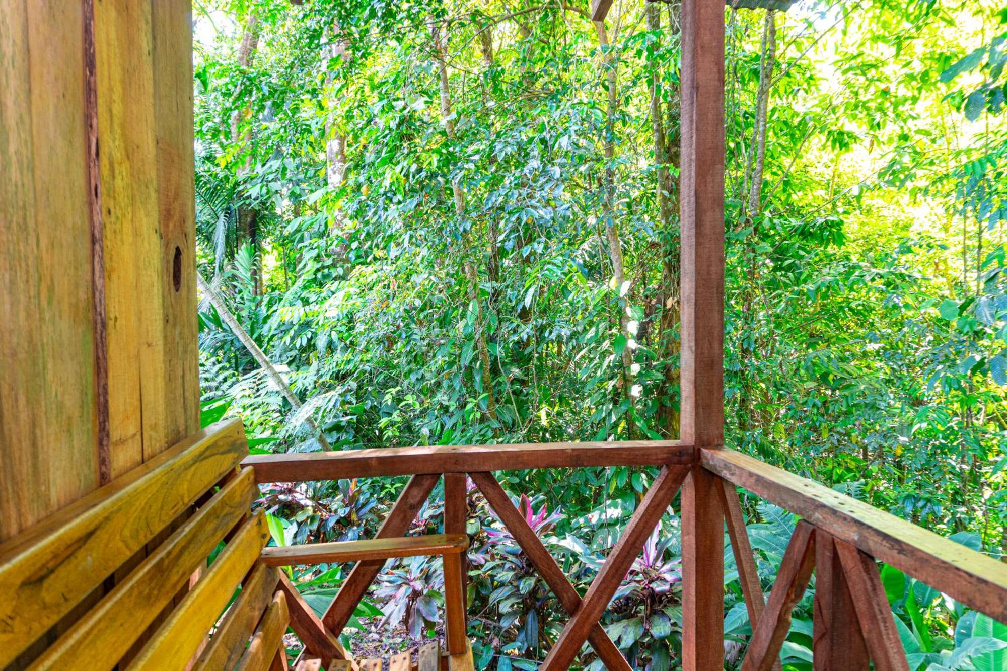 Citronela Lodge Corcovado Drakes Bay Exteriör bild