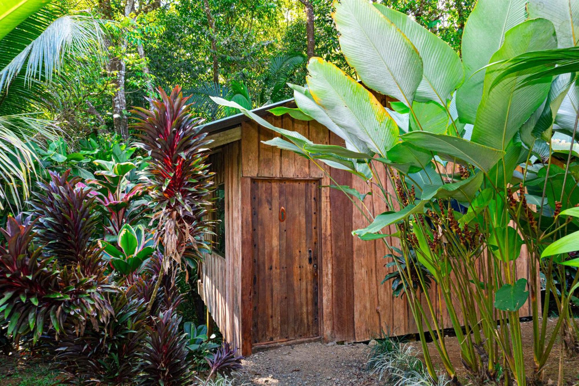 Citronela Lodge Corcovado Drakes Bay Exteriör bild