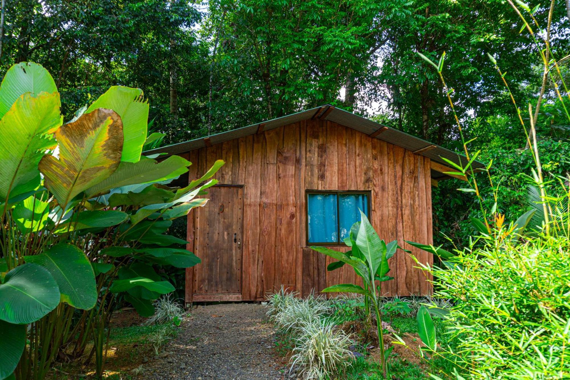 Citronela Lodge Corcovado Drakes Bay Exteriör bild