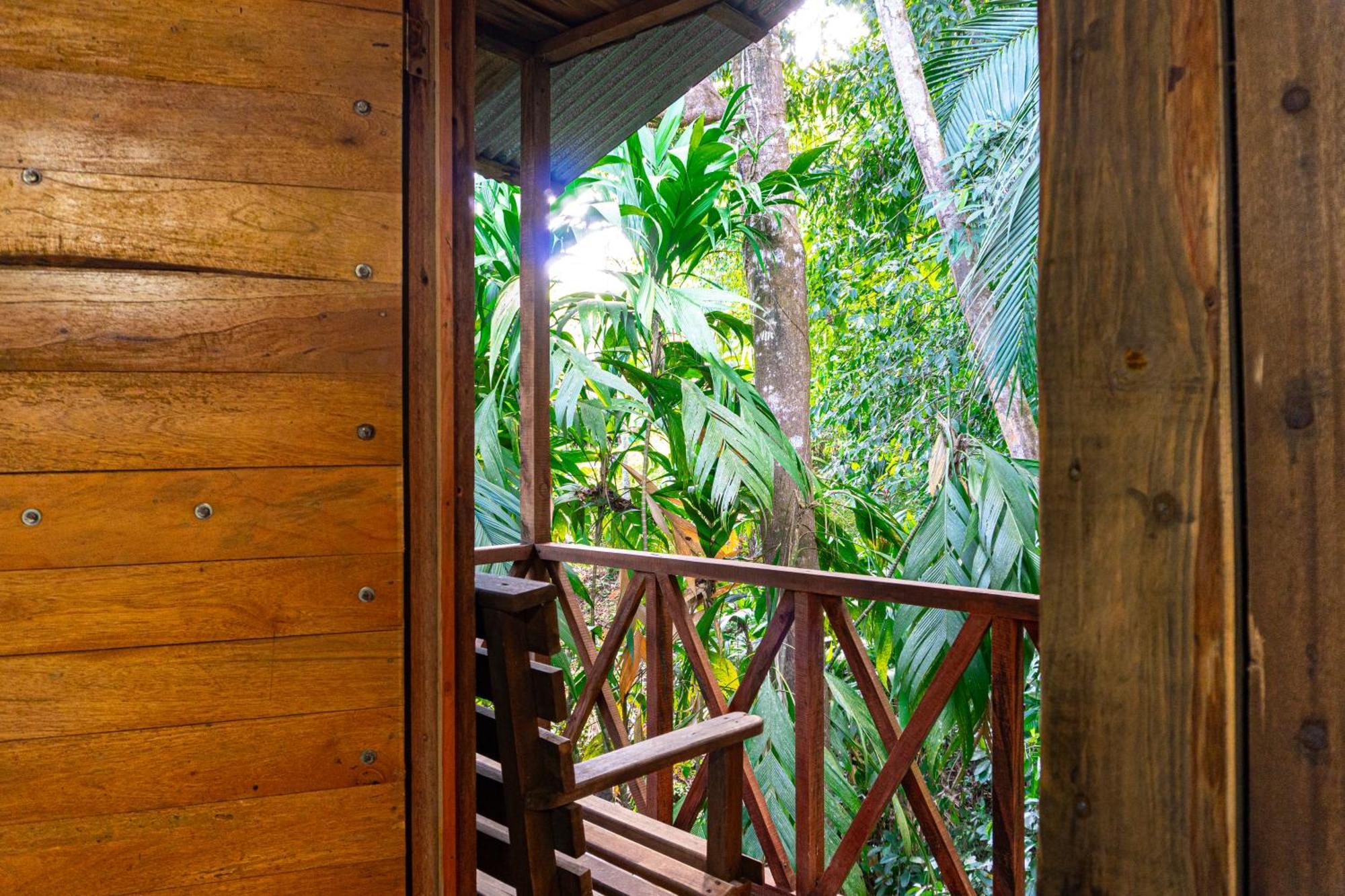 Citronela Lodge Corcovado Drakes Bay Exteriör bild