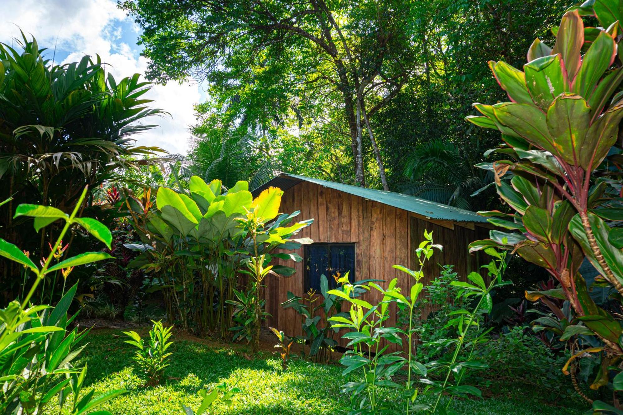 Citronela Lodge Corcovado Drakes Bay Exteriör bild