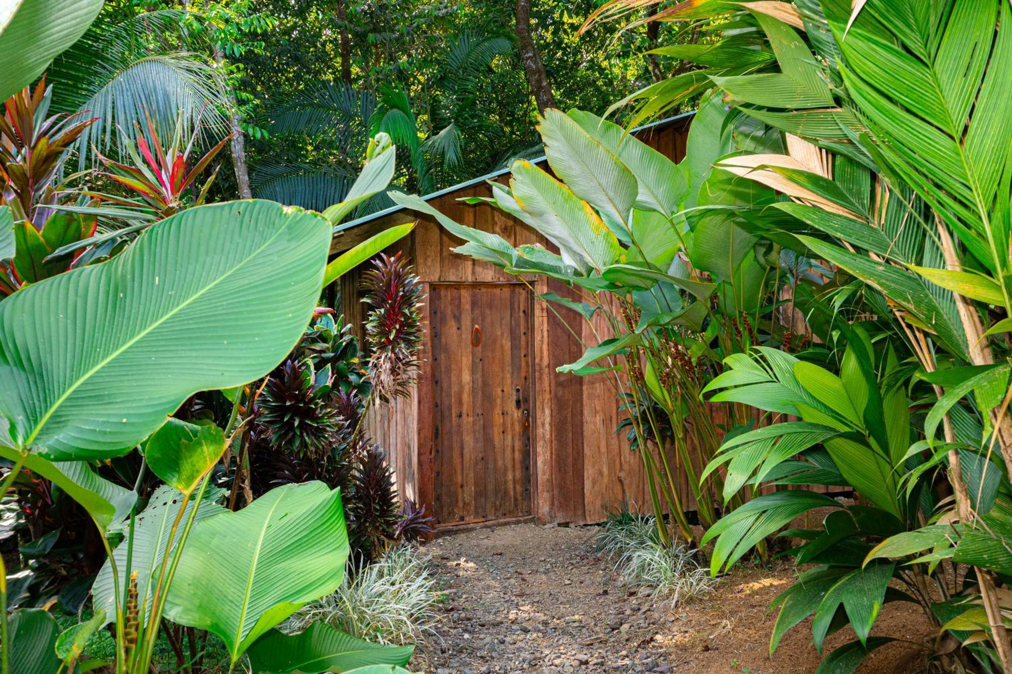 Citronela Lodge Corcovado Drakes Bay Exteriör bild