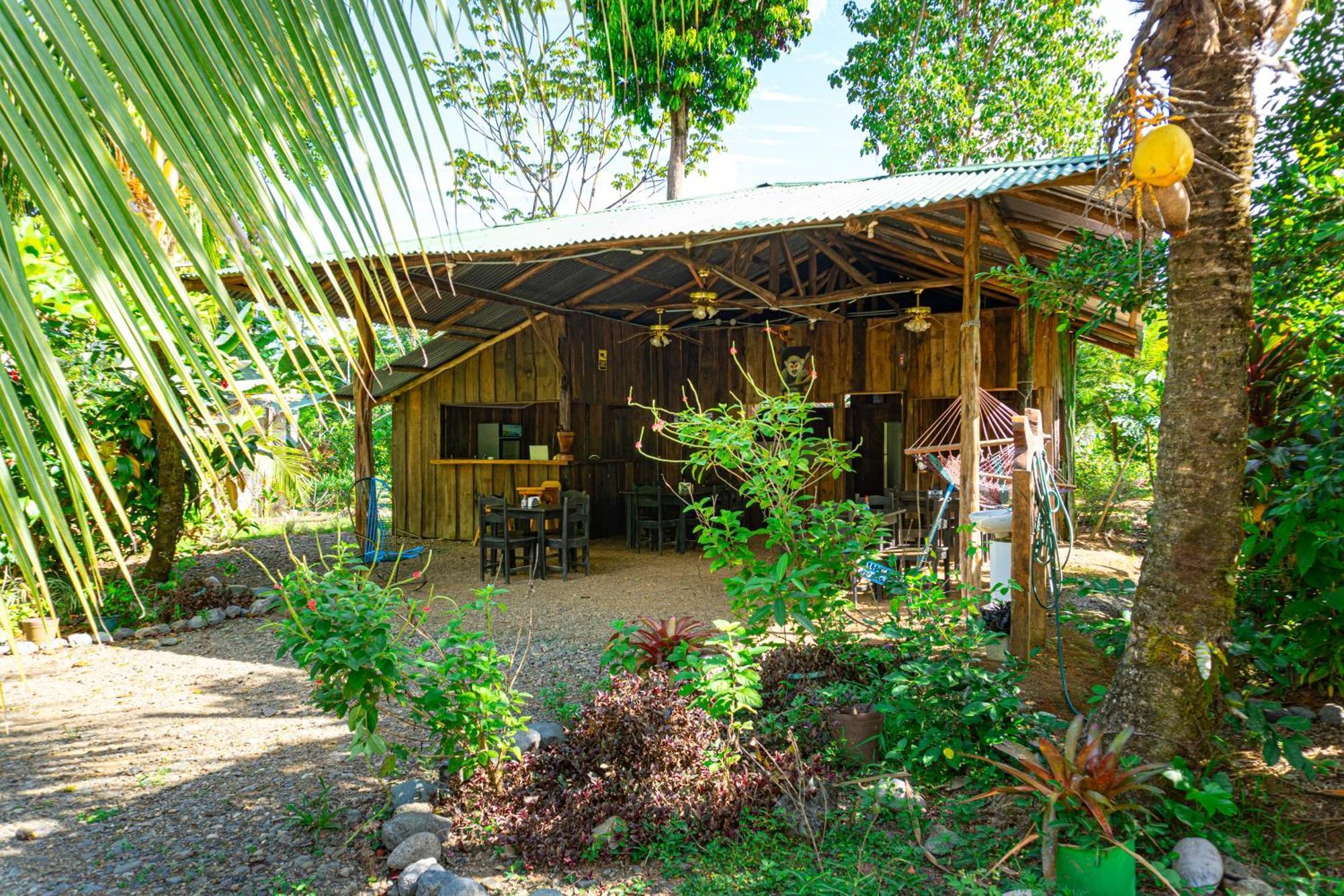 Citronela Lodge Corcovado Drakes Bay Exteriör bild