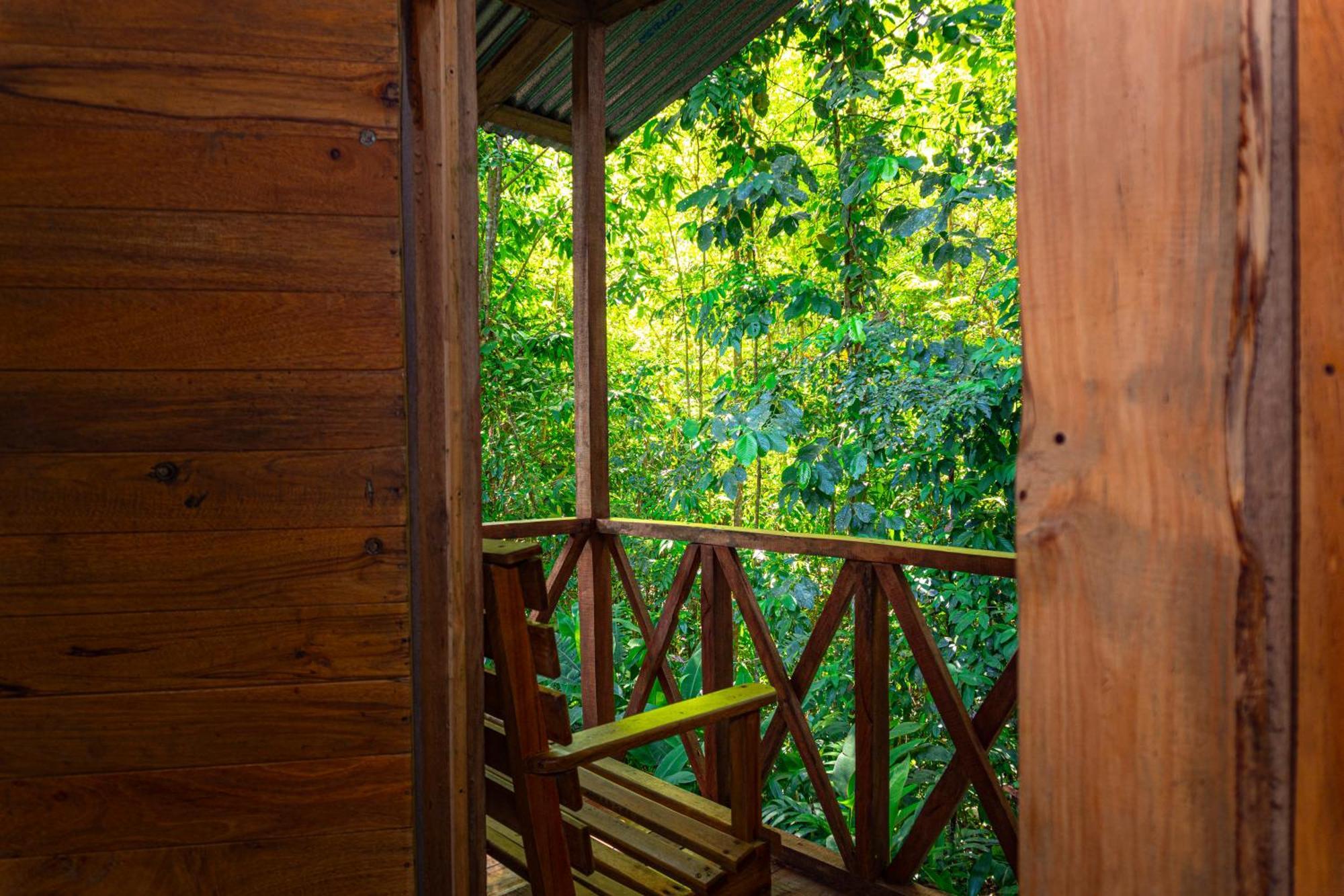 Citronela Lodge Corcovado Drakes Bay Exteriör bild