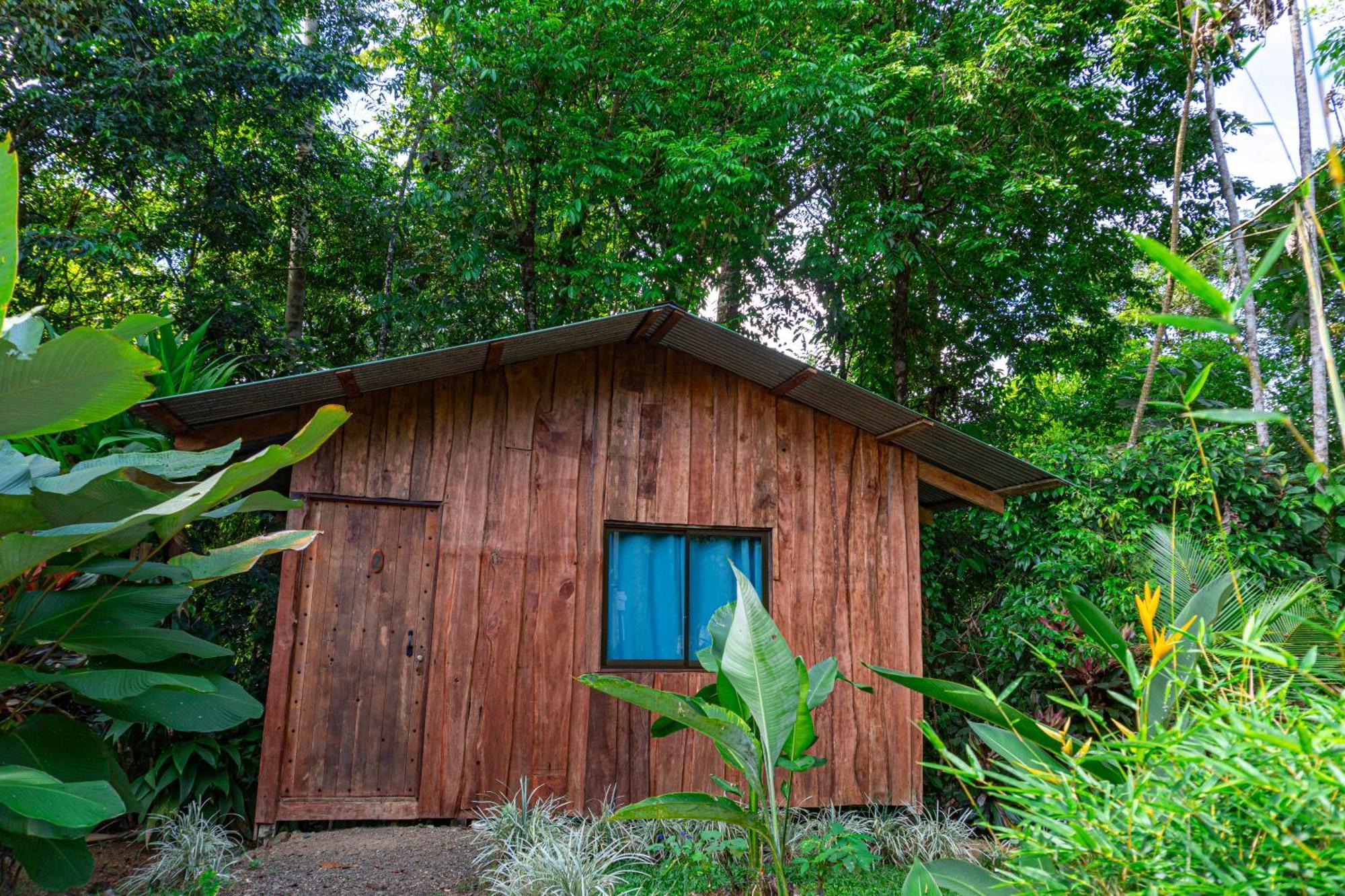 Citronela Lodge Corcovado Drakes Bay Exteriör bild