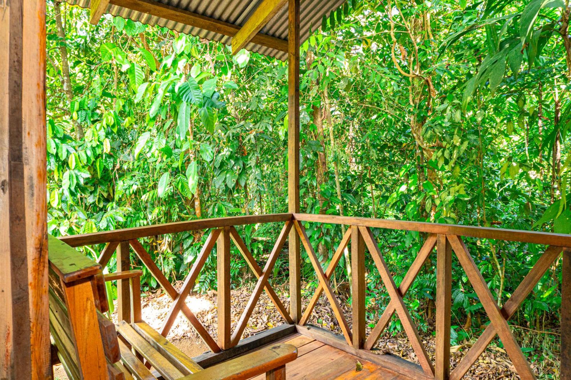 Citronela Lodge Corcovado Drakes Bay Exteriör bild